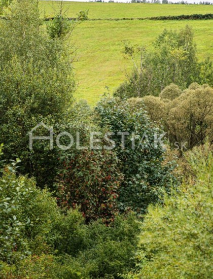 https://www.holestiak.sk/storage/properties/103/thumb/predam-pozemok-nad-kycerkou-cadca-iba-u-nas_0.jpg?t=1664208965
