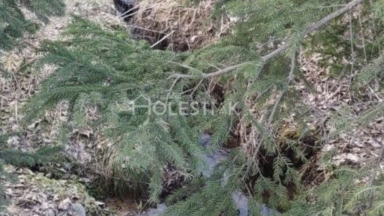 Zvýhodnená cena - Predám pozemok na výstavbu rodinného domu, chaty v obci Raková