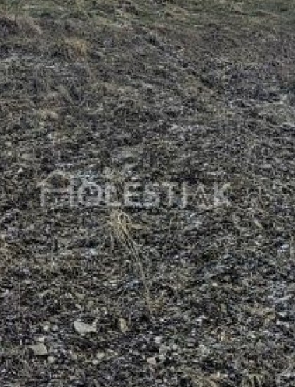https://www.holestiak.sk/storage/properties/124/thumb/odporucane-predam-pekny-stavebny-pozemok-v-obci-cierne-plus-navyse-m2-iba-u-nas_0.jpg?t=1683700379