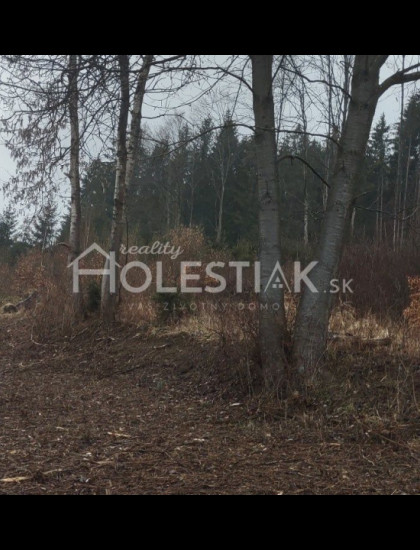 https://www.holestiak.sk/storage/properties/132/thumb/predam-exkluzivne-krasne-pozemky-kysucke-nove-mesto_0.jpeg?t=1778758954