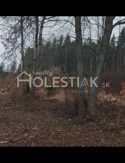 https://www.holestiak.sk/storage/properties/132/thumb/predam-exkluzivne-krasne-pozemky-kysucke-nove-mesto_0.jpg?t=1689580862