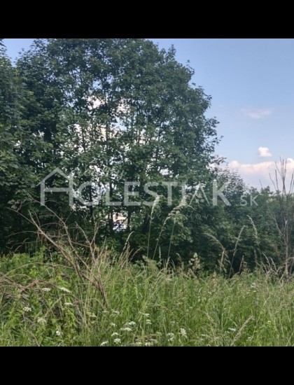 https://www.holestiak.sk/storage/properties/142/thumb/predam-stavebny-pozemok-cadca-horelica-iba-u-nas_0.jpg?t=1688643950