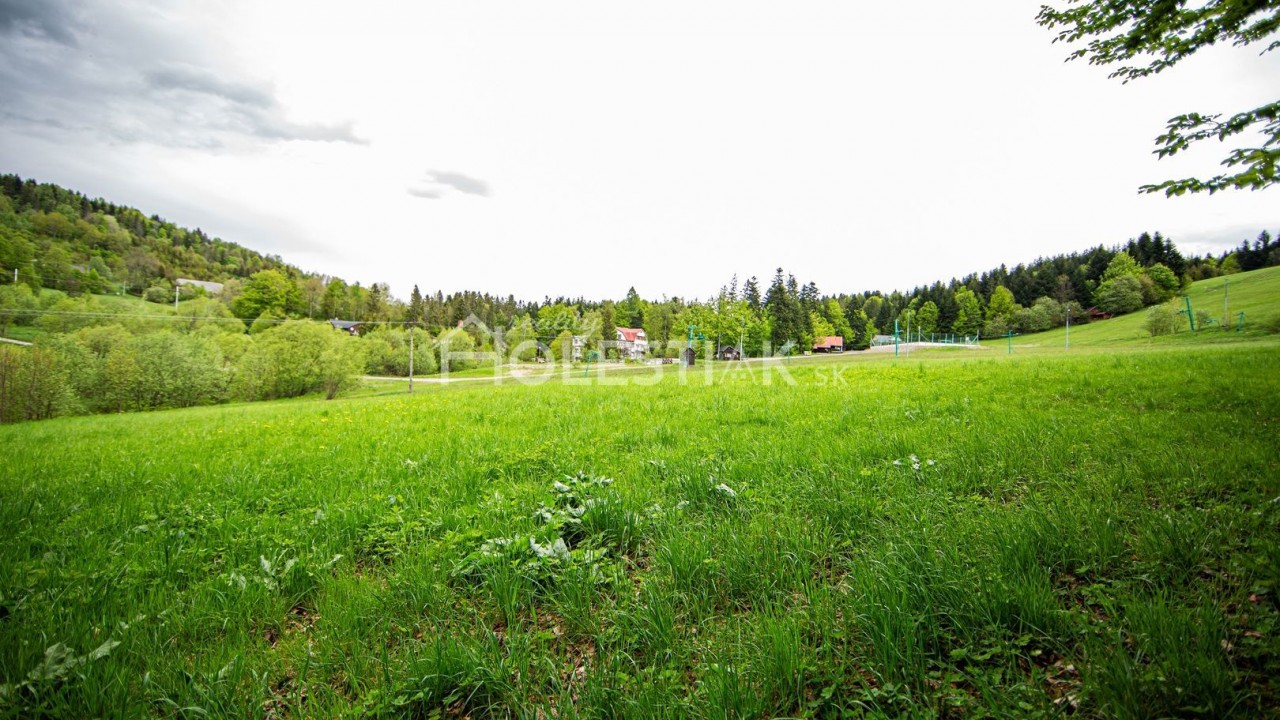 Predaj dvoch pekných pozemkov pri sebe na Kysuciach, v obci Skalité