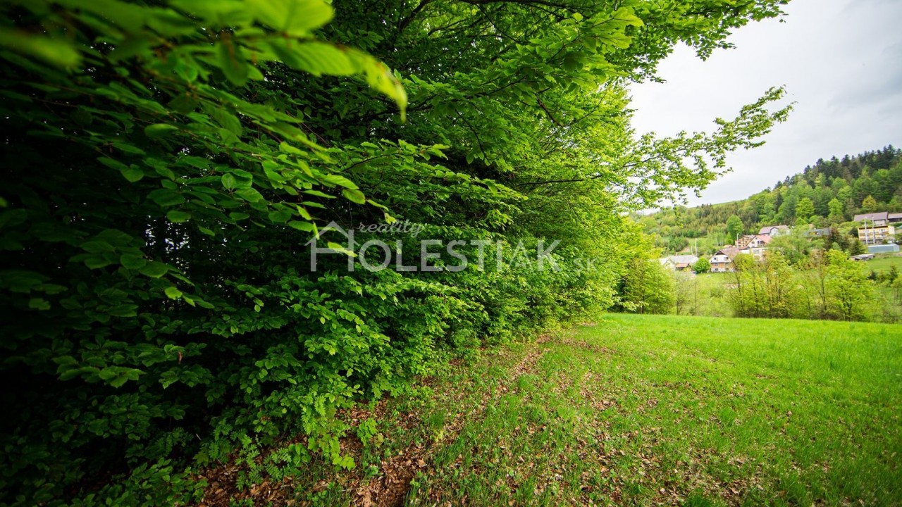 Predaj dvoch pekných pozemkov pri sebe na Kysuciach, v obci Skalité