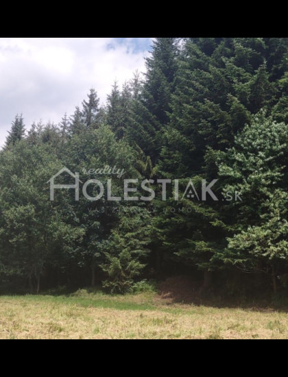 https://www.holestiak.sk/storage/properties/180/thumb/predam-stavebny-pozemok-skalite-iba-u-nas_0.jpeg?t=1779526201