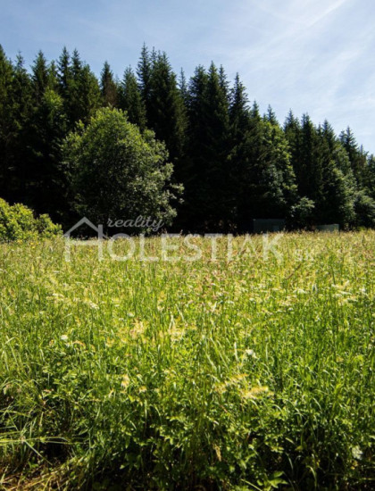 https://www.holestiak.sk/storage/properties/213/thumb/zvyhodnena-cena-predam-velky-pozemok-v-obci-skalite_0.jpeg?t=1778758954