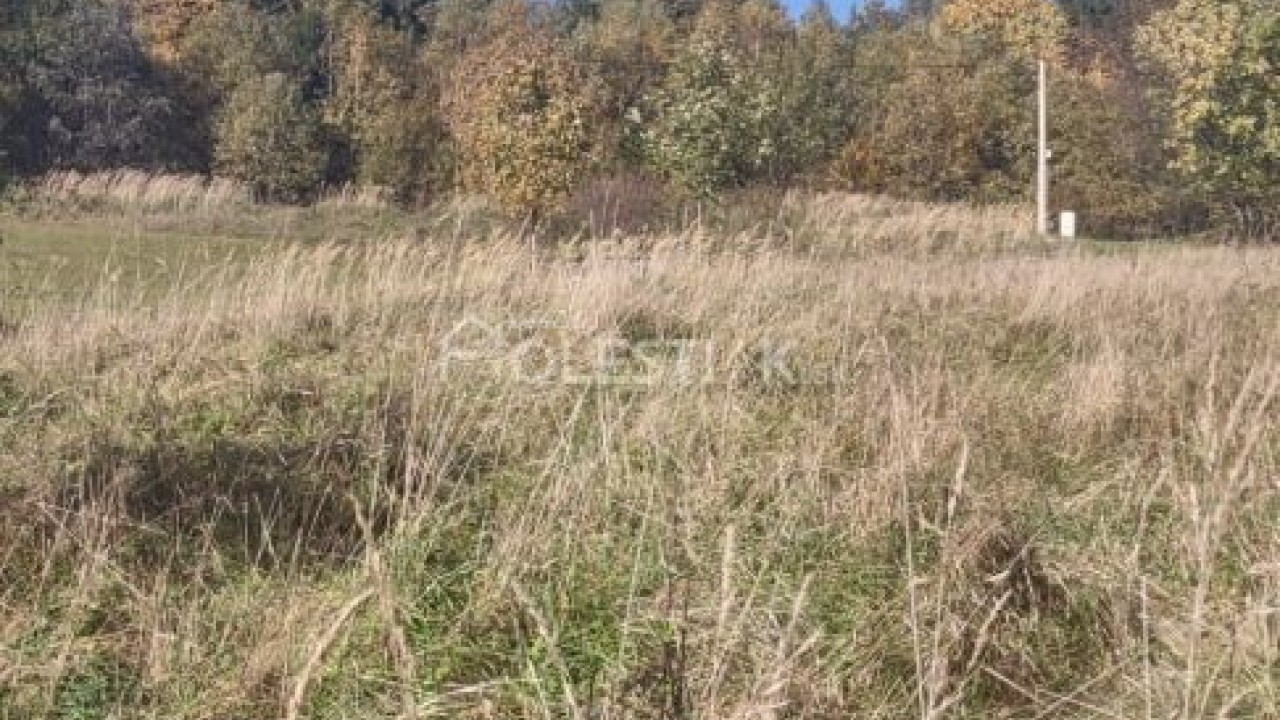 Predám zaujímavý, väčší pozemok v obci Oščadnica - Vreščovka, iba u nás