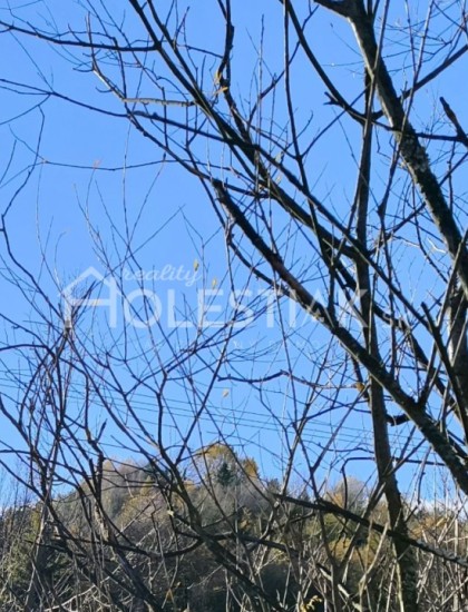 https://www.holestiak.sk/storage/properties/268/thumb/predam-rodinny-dom-v-centre-knm-s-2-oma-ziskovymi-prev-iba-u-nas_0.jpg?t=1699980337