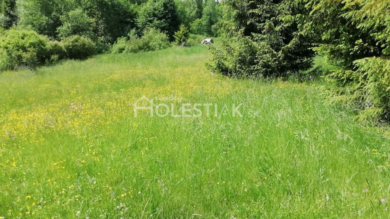 Znížená cena - predám 5 pozemkov pri sebe v obci Skalité exkluzívne