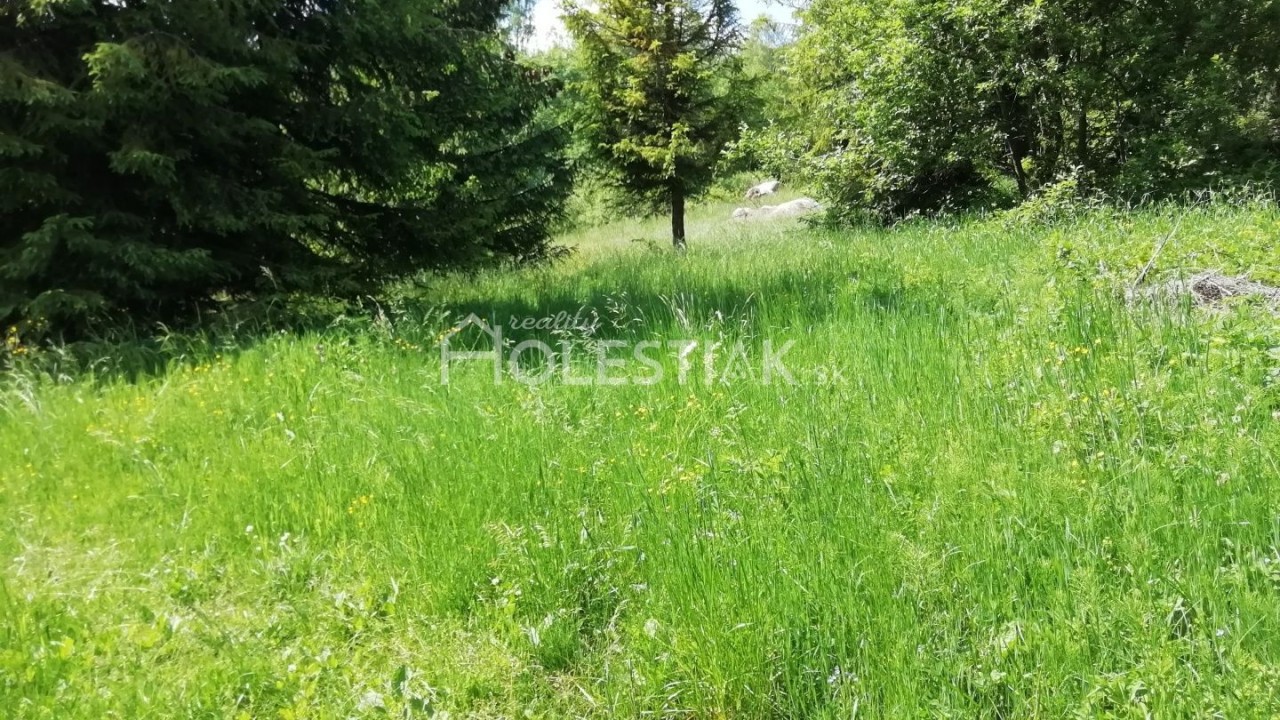 Znížená cena - predám 5 pozemkov pri sebe v obci Skalité exkluzívne