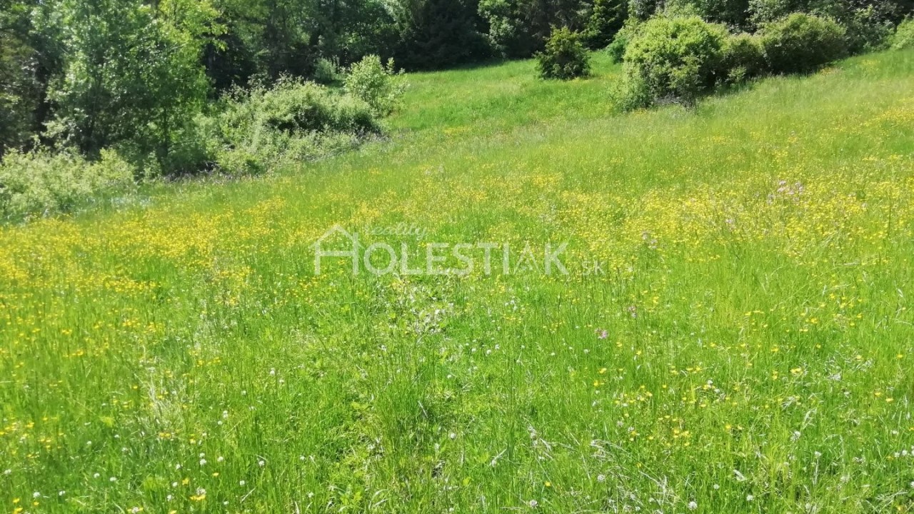 Znížená cena - predám 5 pozemkov pri sebe v obci Skalité exkluzívne