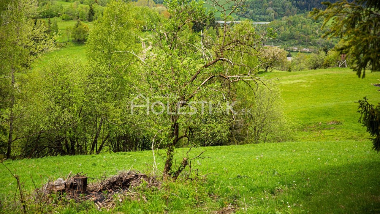 Predám väčší pozemok na Kysuciach - obec Skalité exkluzívne 9