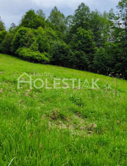 https://www.holestiak.sk/storage/properties/378/thumb/predam-pozemky-v-meste-cadca-iba-u-nas_0.jpg?t=1716964268