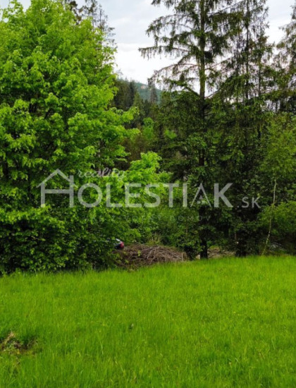 https://www.holestiak.sk/storage/properties/382/thumb/odporucane-predam-exkluzivne-pekny-stavebny-pozemok-zakopcie-pristup-aj-z-cadce_0.jpg?t=1743594373