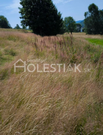 https://www.holestiak.sk/storage/properties/392/thumb/predam-pekne-pozemky-v-obci-oscadnica-iba-u-nas_0.jpg?t=1722358892