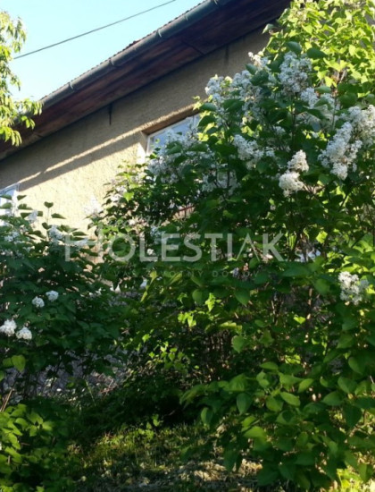 https://www.holestiak.sk/storage/properties/397/thumb/zvyhodnena-cena-predam-dom-s-velkou-zahradou-2627-m2-skalite-iba-u-nas_0.jpeg?t=1774102441