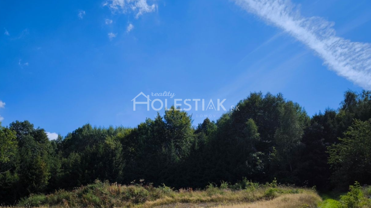 Zaujímavá cena - Predám väčší pozemok v obci Skalité, iba u nás