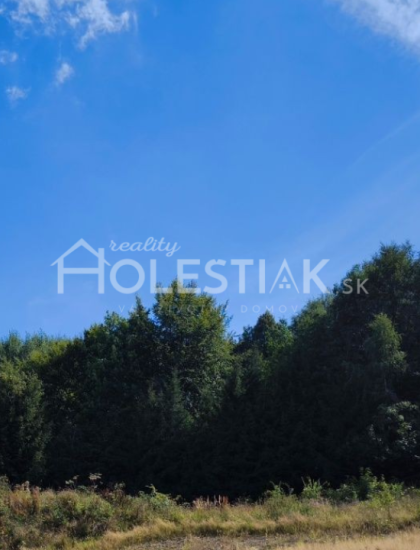 https://www.holestiak.sk/storage/properties/398/thumb/zaujimava-cena-predam-vacsi-pozemok-v-obci-skalite-iba-u-nas_0.jpg?t=1749017775