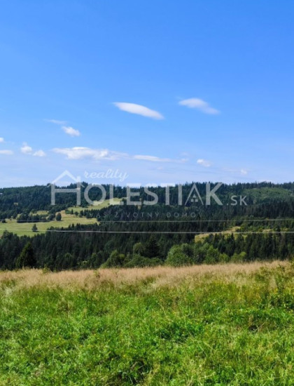 https://www.holestiak.sk/storage/properties/402/thumb/predam-pozemok-v-obci-oscadnica-iba-u-nas_0.jpeg?t=1784252587