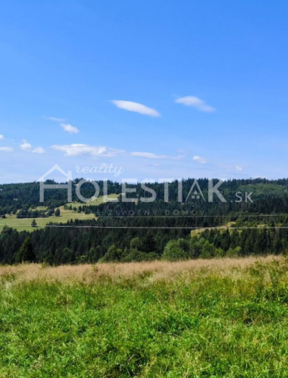 https://www.holestiak.sk/storage/properties/402/thumb/predam-pozemok-v-obci-oscadnica-iba-u-nas_0.jpg?t=1725179468