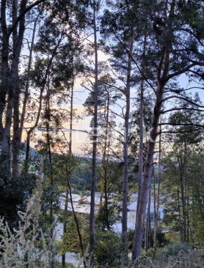 https://www.holestiak.sk/storage/properties/409/thumb/predam-velky-pozemok-v-obci-dolny-lieskov-okr-pb-iba-u-nas_0.jpeg?t=1784252591