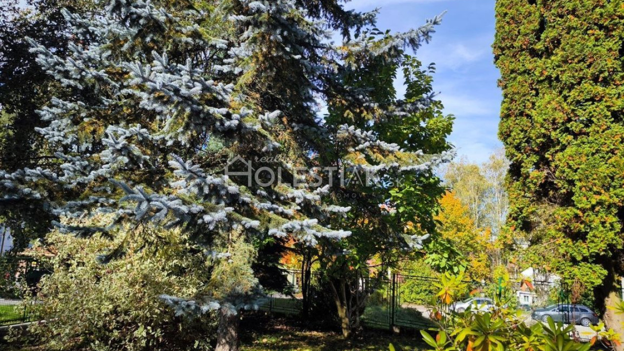 Predám dom v centre - Čadca