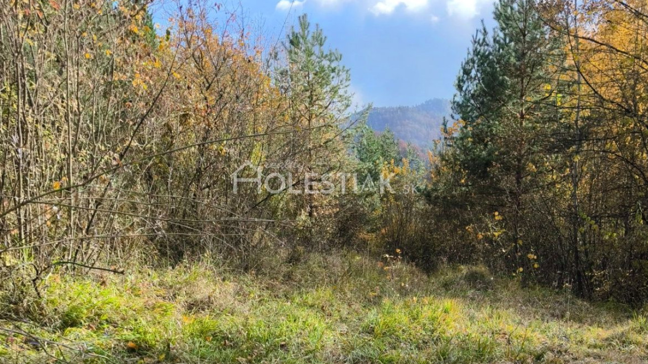 Predám pozemok pod chatu - Hlboké nad Váhom, iba u nás