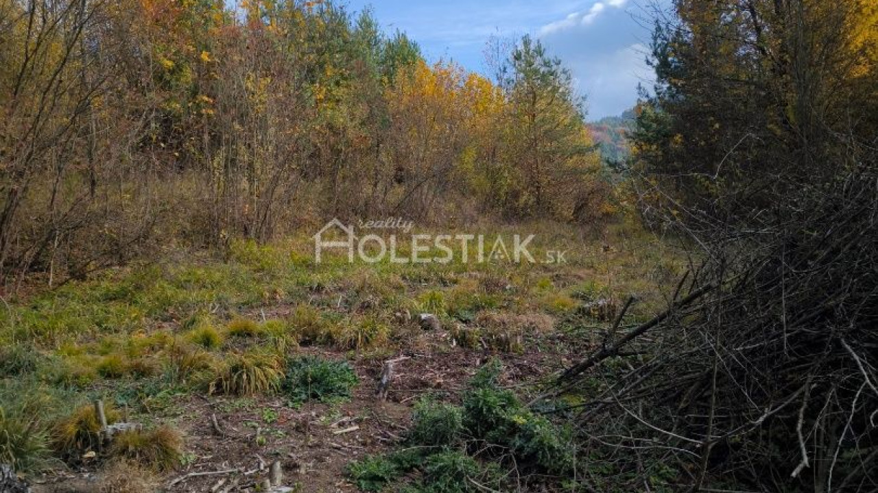 Predám pozemok pod chatu - Hlboké nad Váhom, iba u nás