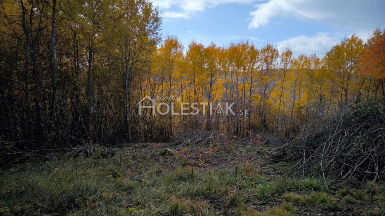 Predám pozemok pod chatu - Hlboké nad Váhom, iba u nás