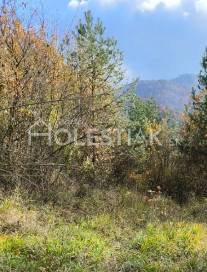 https://www.holestiak.sk/storage/properties/420/thumb/predam-pozemok-hlboke-nad-vahom-iba-u-nas_0.jpg?t=1742289376