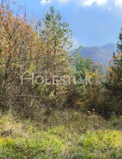https://www.holestiak.sk/storage/properties/420/thumb/predam-pozemok-pod-chatu-hlboke-nad-vahom-iba-u-nas_0.jpeg?t=1784252583