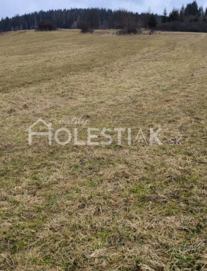 https://www.holestiak.sk/storage/properties/434/thumb/odporucane-predam-pekny-vacsi-pozemok-rakova-iba-u-nas_0.jpg?t=1743780706
