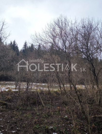 https://www.holestiak.sk/storage/properties/436/thumb/predam-pozemky-svrcinovec-iba-u-nas_0.jpeg?t=1778758926