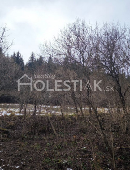 https://www.holestiak.sk/storage/properties/436/thumb/predam-pozemky-svrcinovec-iba-u-nas_0.jpg?t=1741436338