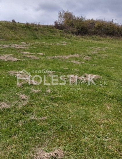 https://www.holestiak.sk/storage/properties/44/thumb/znizena-cena-exkluzivne-predam-pekny-pozemok-pri-ceste-v-obci-rakova_0.jpg?t=1666071032