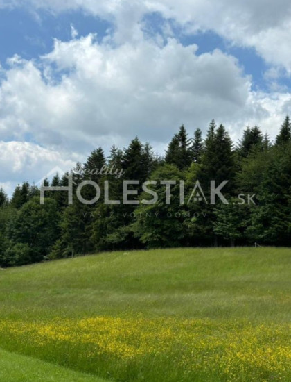 https://www.holestiak.sk/storage/properties/45/thumb/novinka-aj-s-fotovolt-systemom-a-vinnou-pivnickou-predam-luxusny-novy-dom-skalite_0.jpg?t=1742058062
