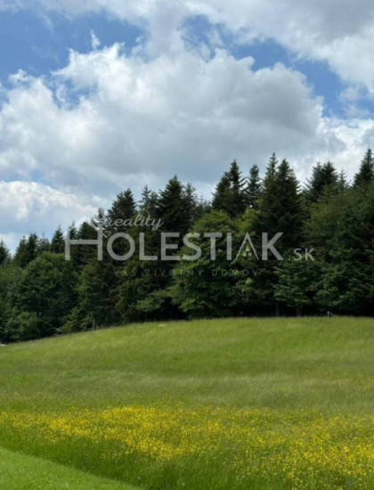 https://www.holestiak.sk/storage/properties/45/thumb/predam-luxusny-novy-dom-s-fotovolt-a-vinnou-pivnickou-skalite_0.jpeg?t=1784252581