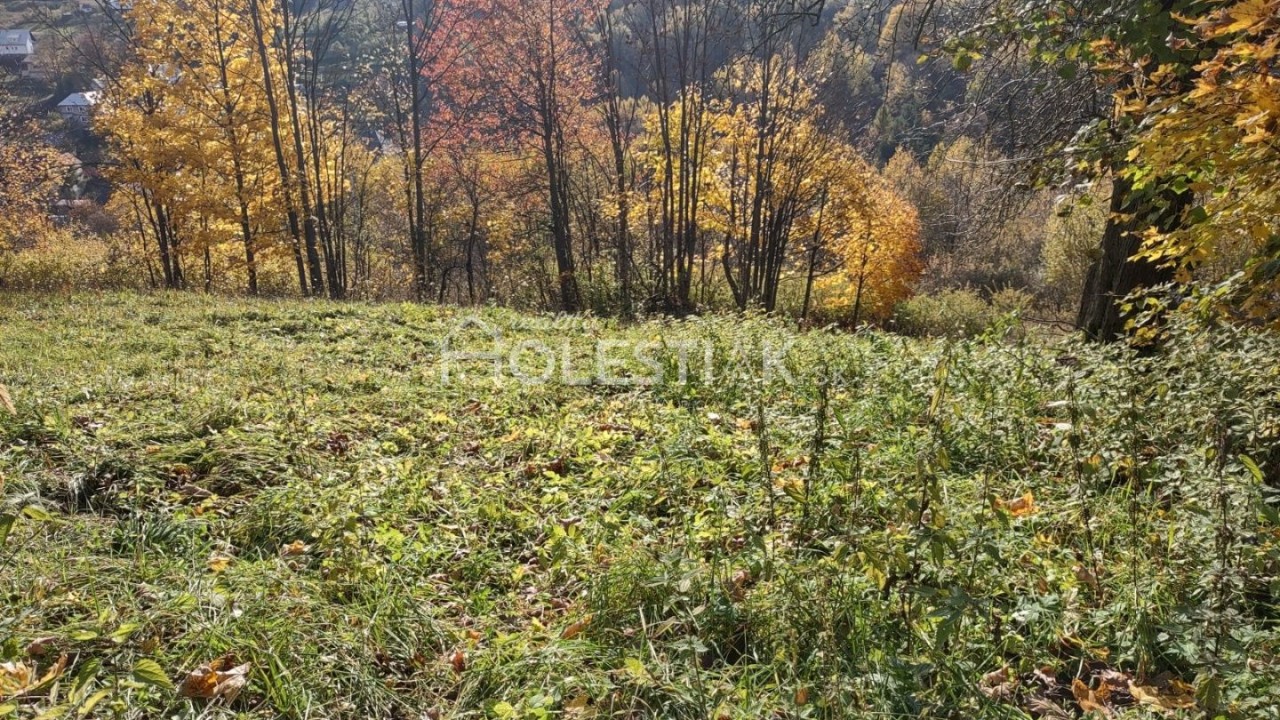 REZERVOVANÉ - Iba u nás na predaj starší rodinný dom v obci Skalité s veľkým pozemkom 4574 m2 + ďalšie priľahlé pozemky