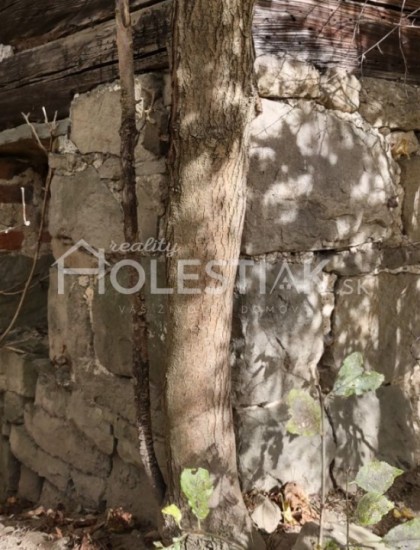 https://www.holestiak.sk/storage/properties/46/thumb/rezervovane-iba-u-nas-na-predaj-starsi-rodinny-dom-v-obci-skalite-s-velkym-pozemkom-4574-m2-dalsie-prilahle-pozemky_0.jpg?t=1637748035