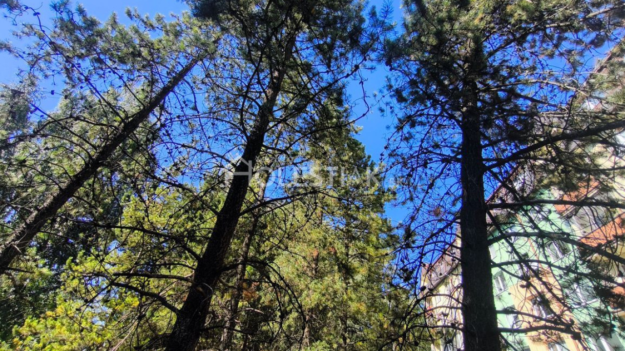 Zvýhodnená cena: Predám pozemok v meste Žilina, iba u nás 