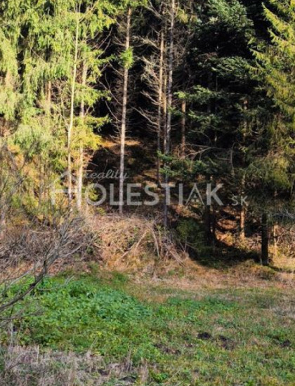 https://www.holestiak.sk/storage/properties/481/thumb/predam-pekny-pozemok-na-chatu-kysuce-iba-u-nas_0.jpeg?t=1775244182