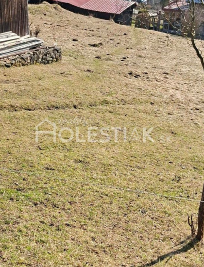 https://www.holestiak.sk/storage/properties/494/thumb/exkluzivne-predam-drevenicu-olesna-kysuce-s-dobrym-pristupom_0.jpeg?t=1784252671