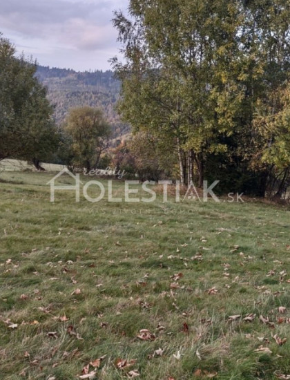 https://www.holestiak.sk/storage/properties/50/thumb/exkluzivne-predam-pozemky-v-obci-oscadnica_0.jpeg?t=1784252641