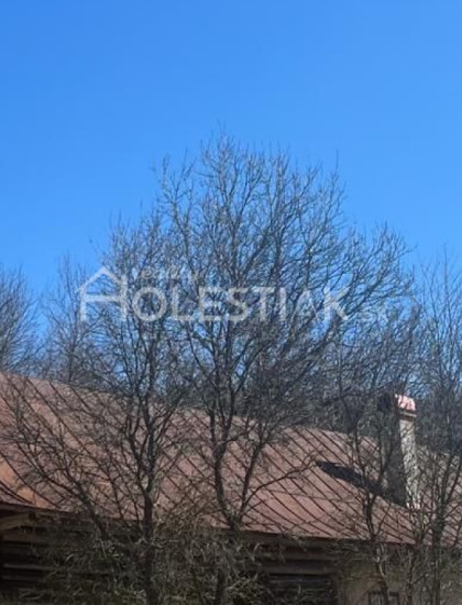 https://www.holestiak.sk/storage/properties/507/thumb/predam-na-polosamote-domcek-vysoka-nad-kysucou-iba-u-nas_0.jpeg?t=1784252647