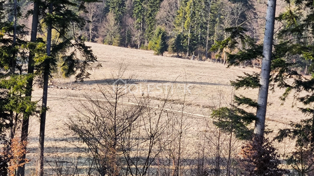 Predám pozemky, Zákopčie, extravilán