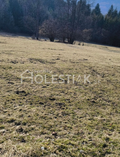https://www.holestiak.sk/storage/properties/512/thumb/predam-pozemky-zakopcie-extravilan_0.jpeg?t=1784252646