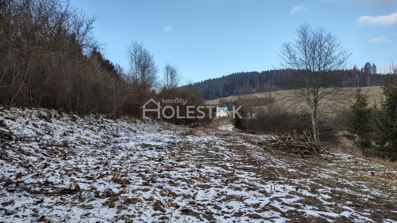 Predám menší pozemok na chatu Raková, okr. Čadca, krásne výhľady