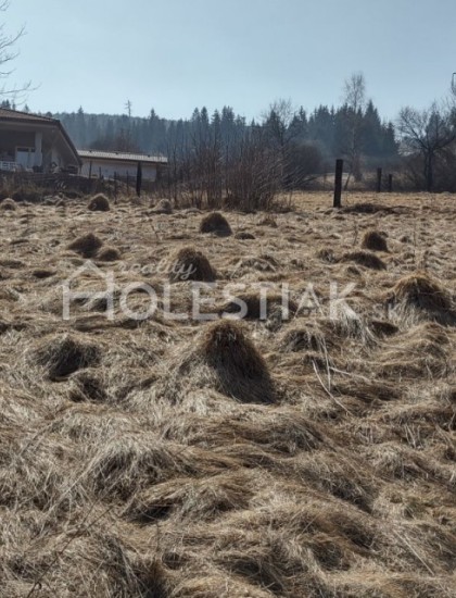 https://www.holestiak.sk/storage/properties/70/thumb/odporucane-novinka-predaj-stavebnych-pozemkov-cadca-milosova-vratane-inz-sieti_0.jpg?t=1683700311