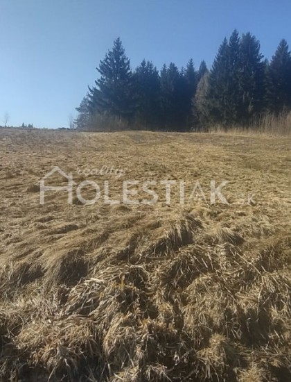 https://www.holestiak.sk/storage/properties/74/thumb/rezervovane-predam-krasny-pozemok-so-staveb-povol-olesna_0.jpg?t=1662364833