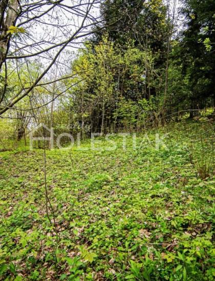 https://www.holestiak.sk/storage/properties/9/thumb/rezervovane-predaj-pozemku-exkluzivne-v-obci-skalite-za-vyhodnu-cenu_0.jpg?t=1638268439